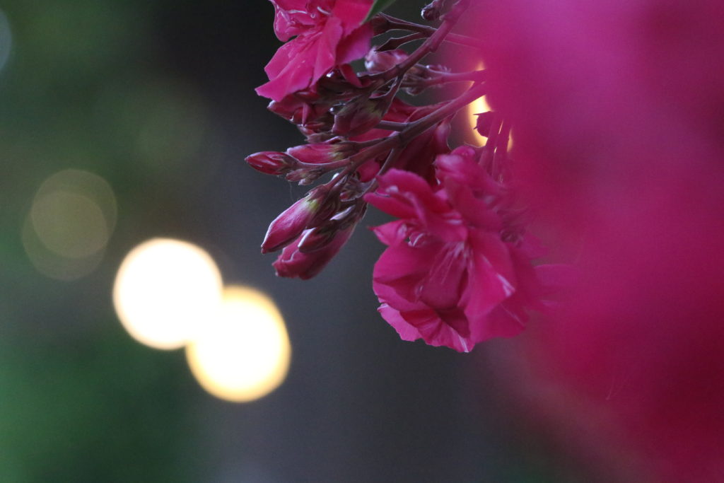 6h8a1434