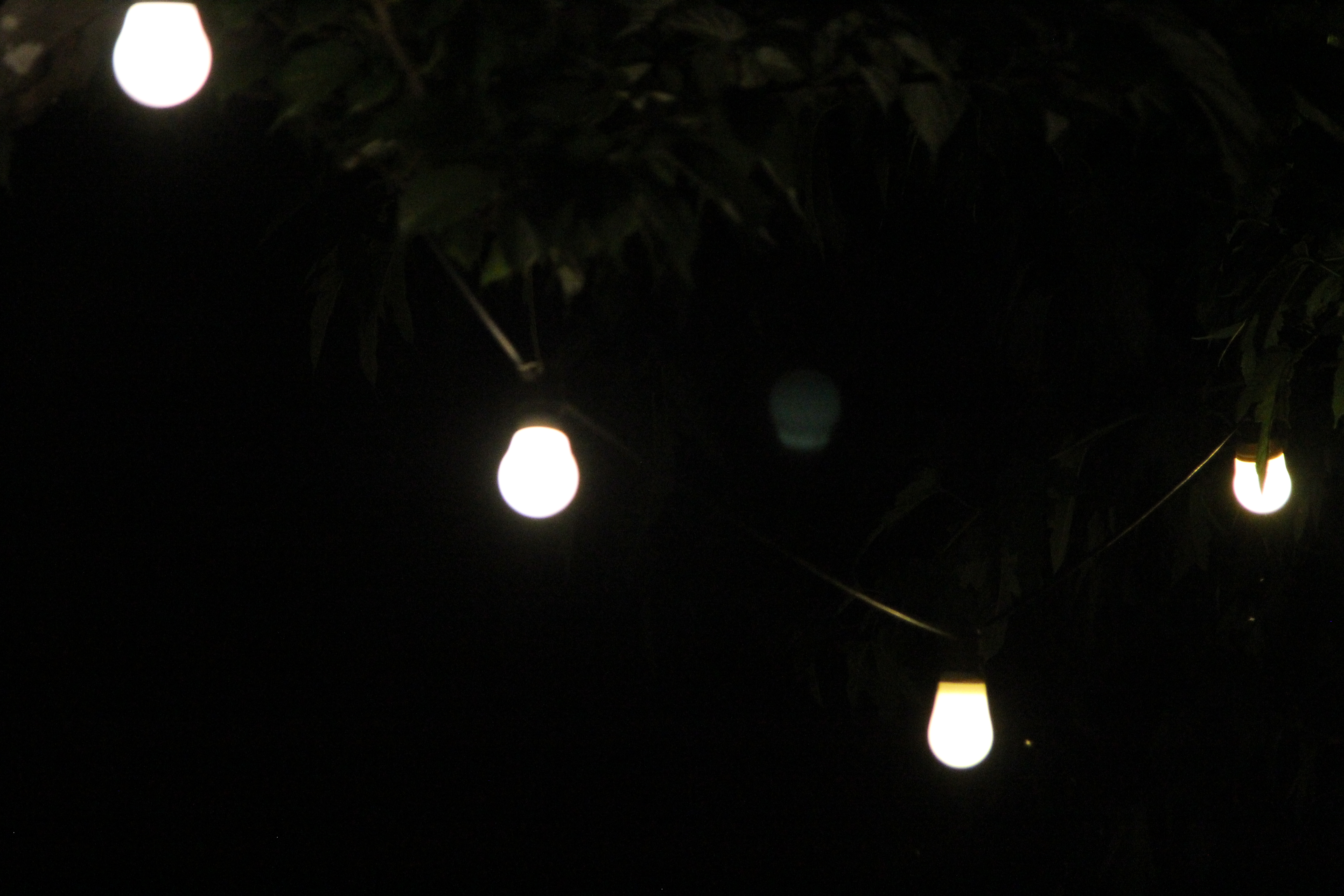 31 Day Detox for the Tech-Weary Soul –Day 4: Carry the Light